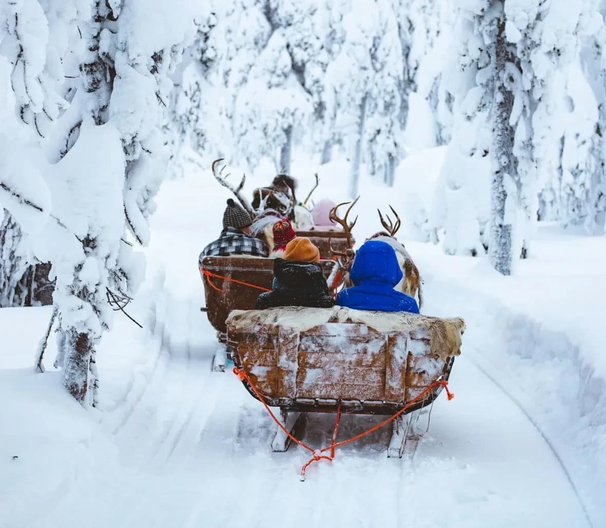 Reindeer pulled sleigh in snowy forest, winter landscape with passengers bundled in warm clothing
