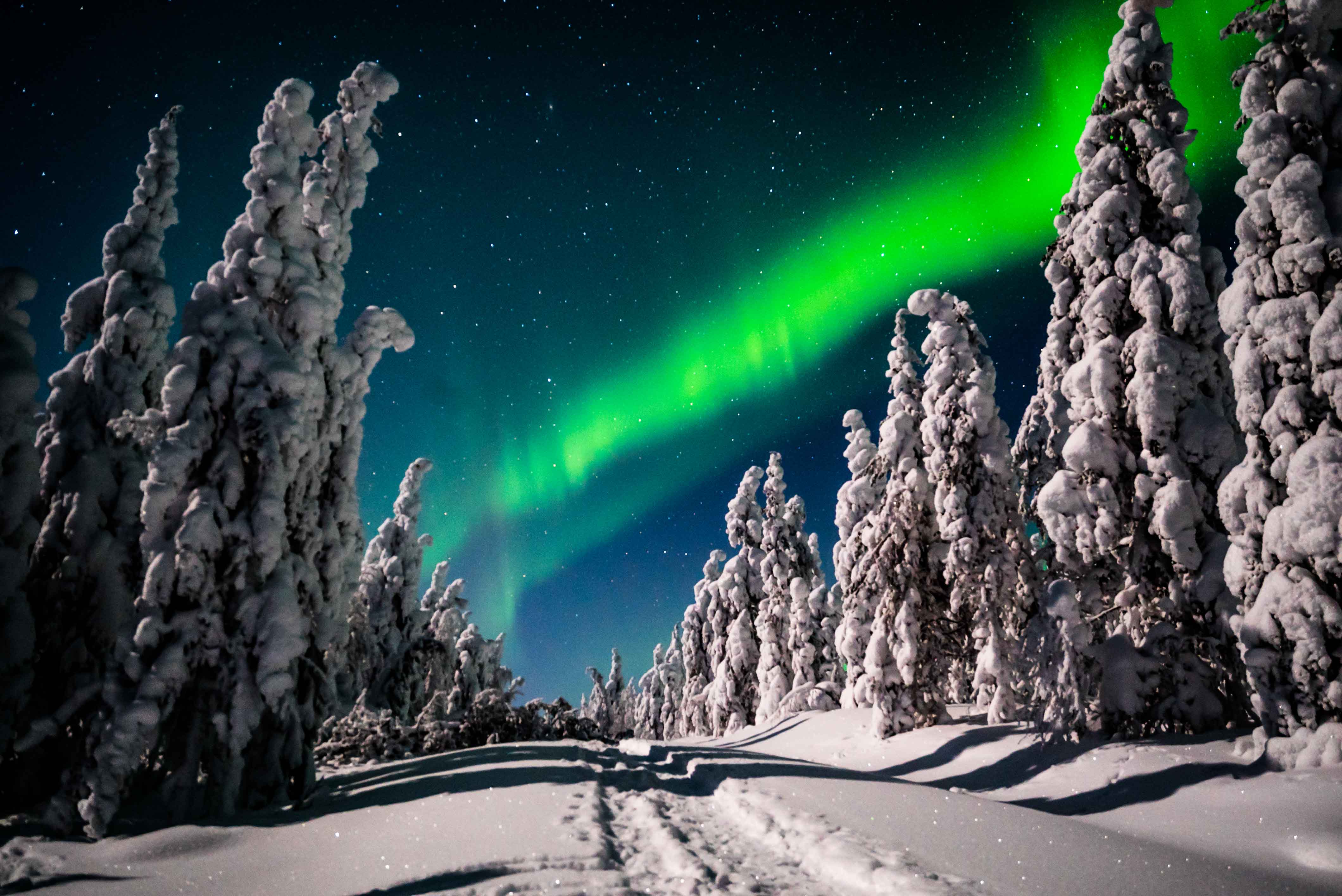wilderness-northern-lights-show-levi-lapland-beyond-arctic.jpg