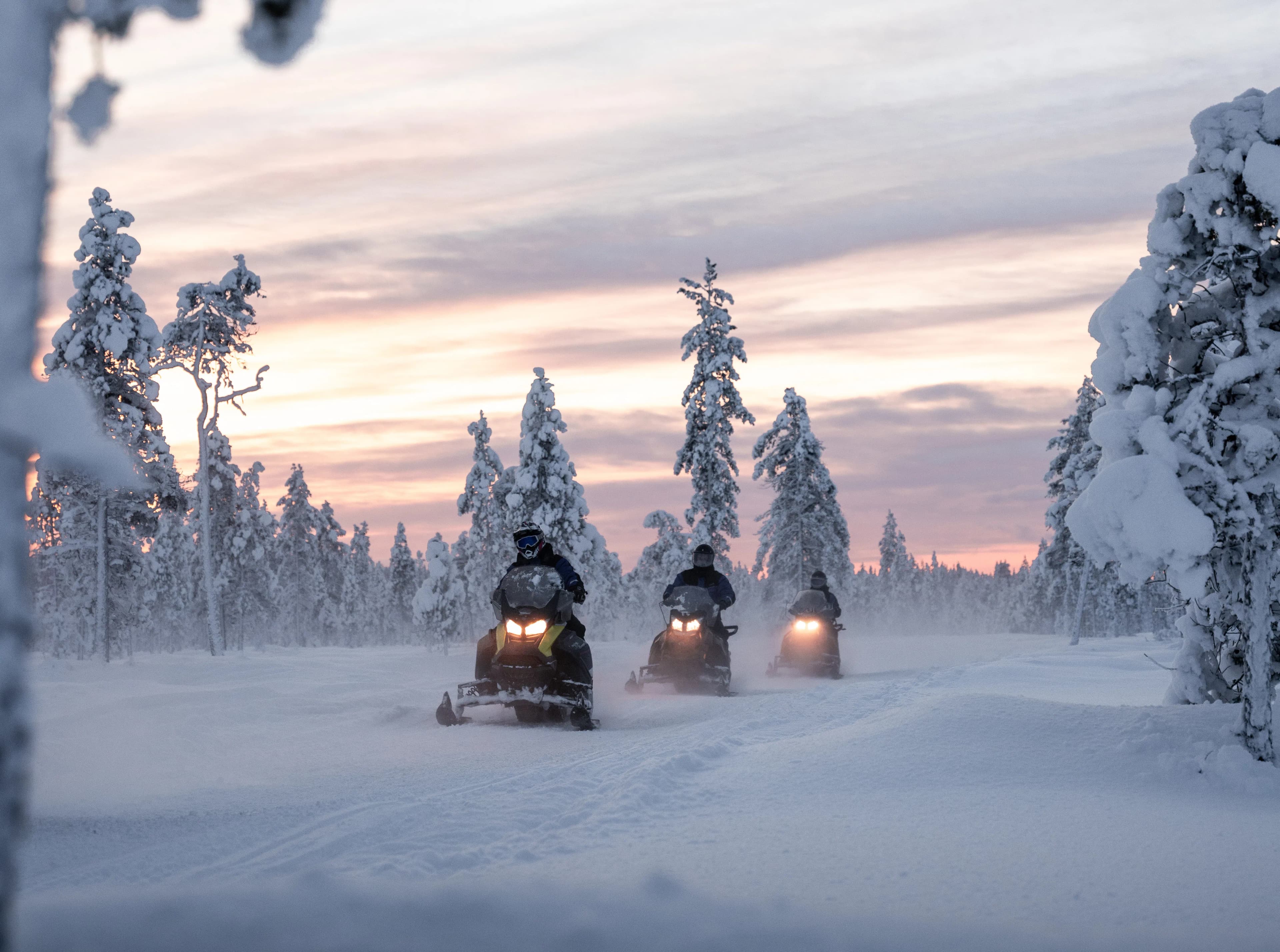 Snowmobiles ride through a snowy forest at sunset with trees frosted in fresh snow and light dusting falling in the spray.