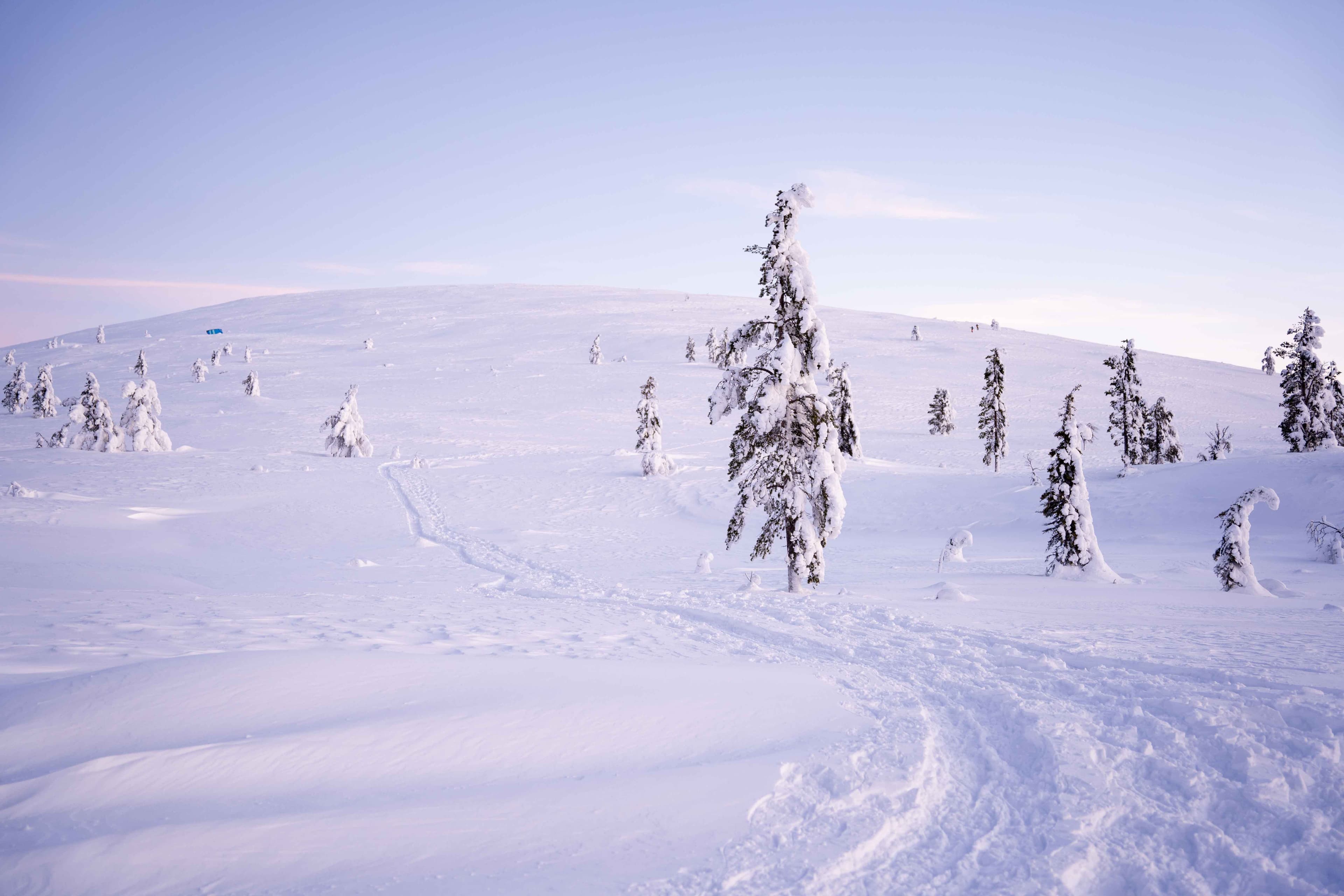Snow-covered ski track through a quiet winter landscape with frosted pine trees and distant hills under a soft pastel sky.