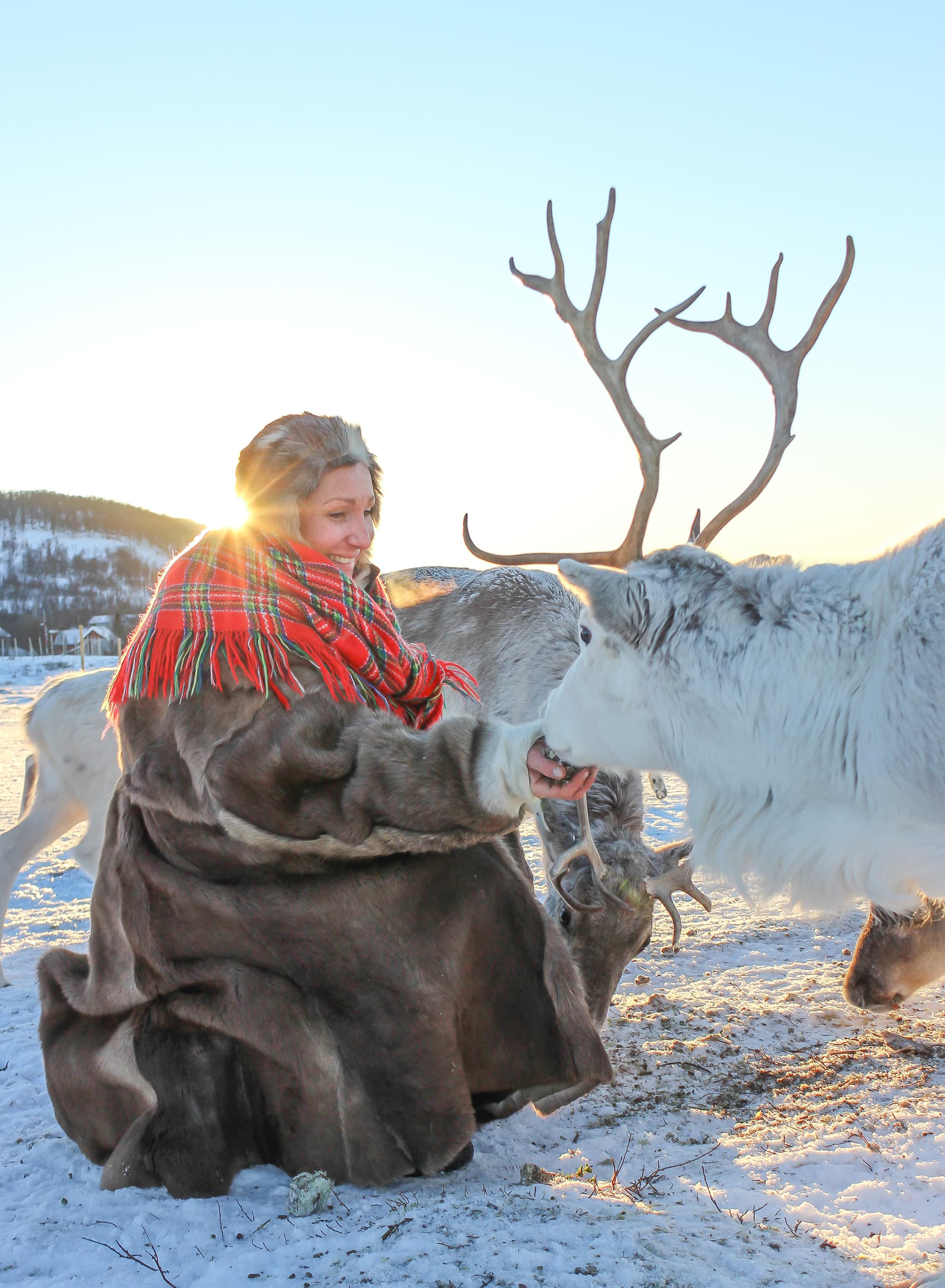 A smiling woman in a fur coat and red plaid scarf feeds a reindeer in a snowy landscape at sunset.