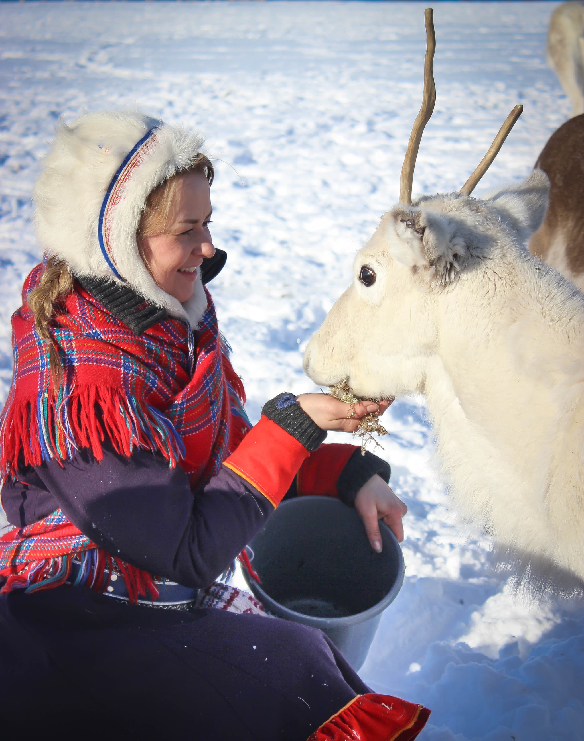 A woman in winter clothing smiles while feeding a white reindeer in a snowy landscape.