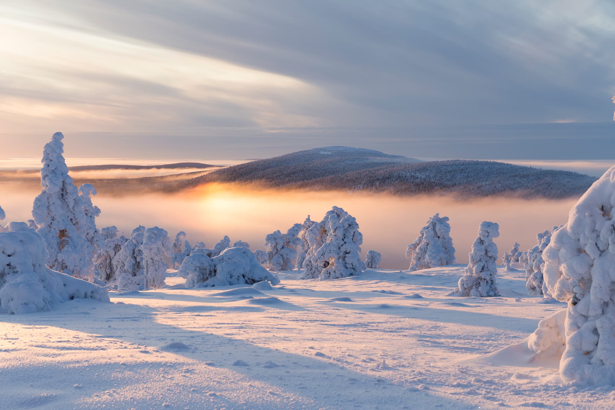 Snow-covered trees and rolling mountains rise above a glowing winter mist at sunrise.