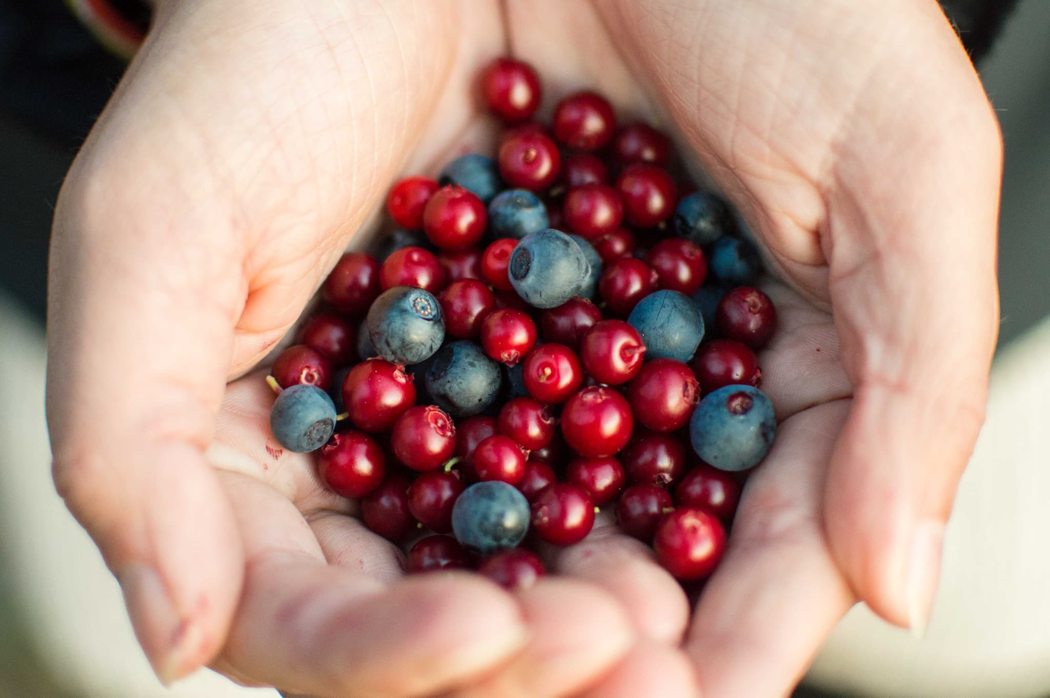 A close-up of two cupped hands holding a mix of red berries and blueberries.