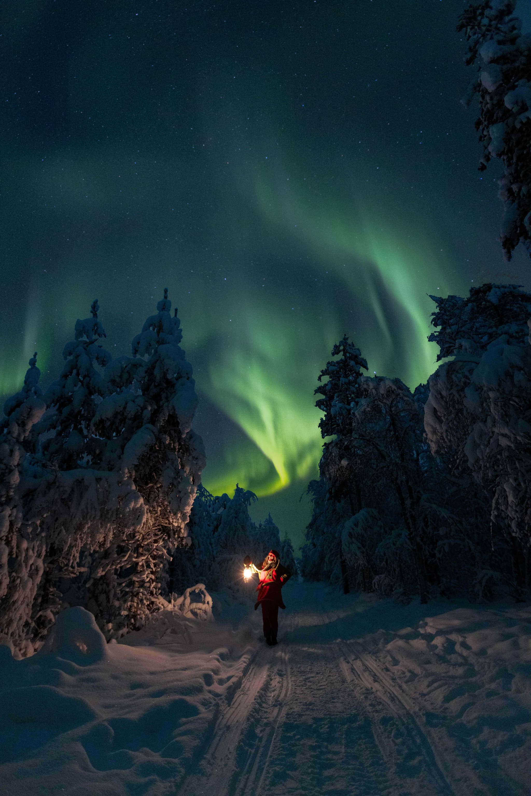 A person holding a lantern stands on a snowy forest path beneath a glowing green aurora in a starry night sky.