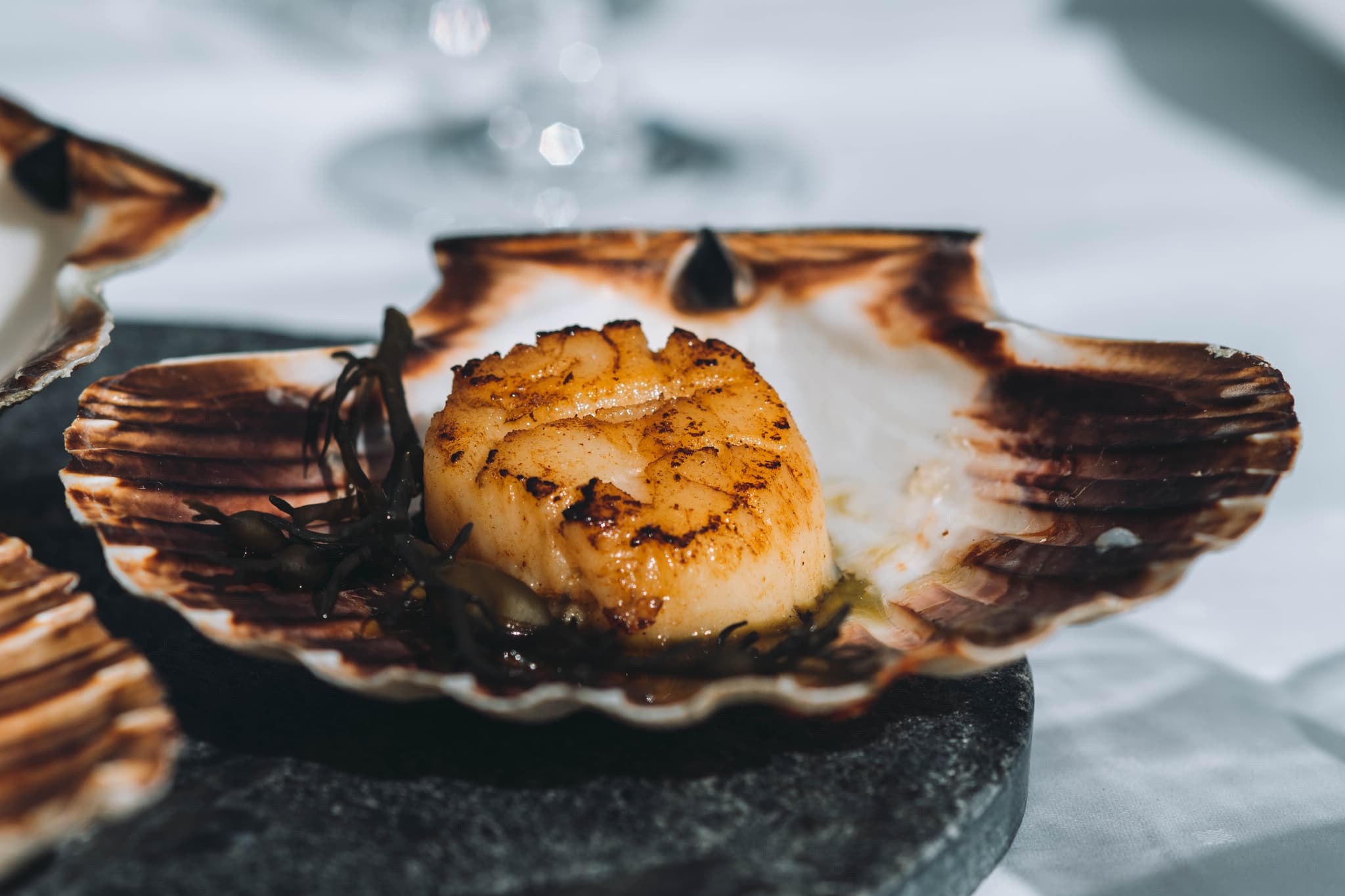 A seared scallop is served in a large shell on a dark stone base.