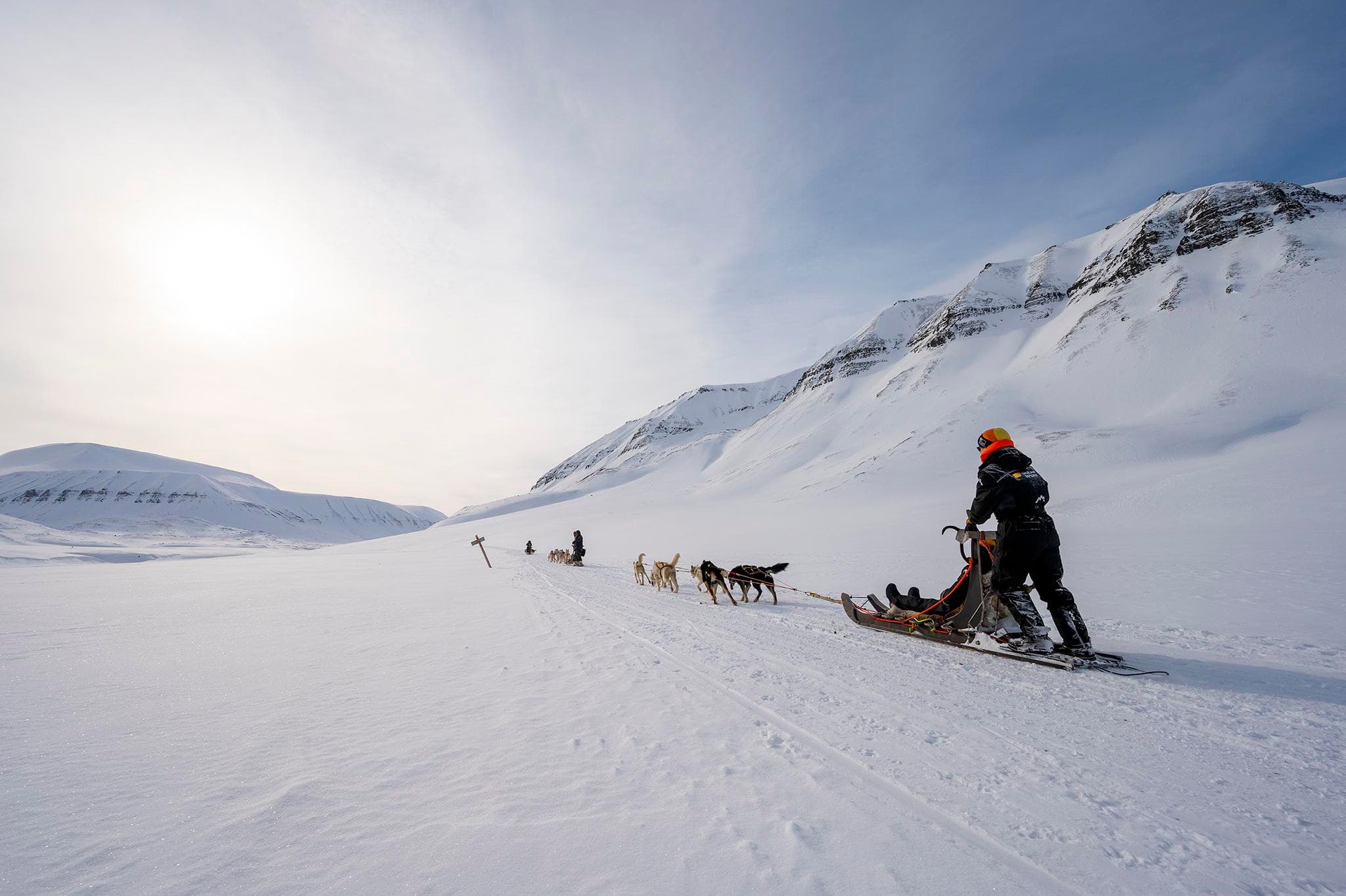 A dog sled team pulls a sled across a vast snowy mountain landscape under a pale blue sky.
