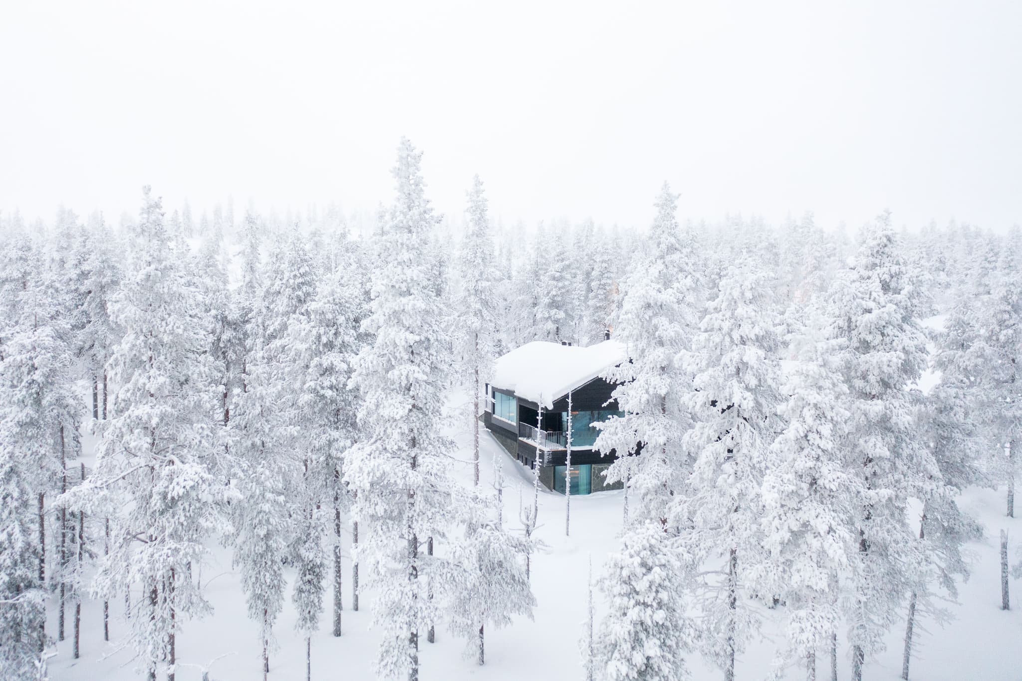 A modern cabin is nestled among snow-covered trees in a bright winter forest.