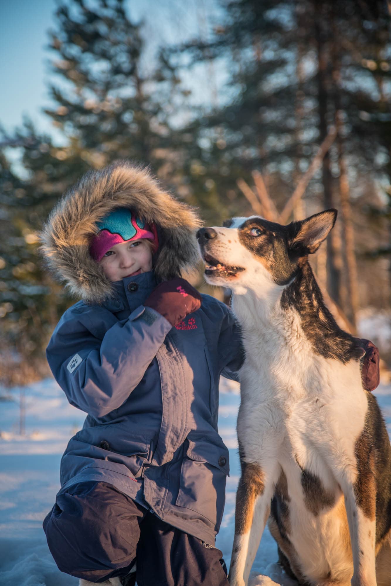 Child in winter clothing wearing colorful earmuffs with a large dog outdoors on a snowy day