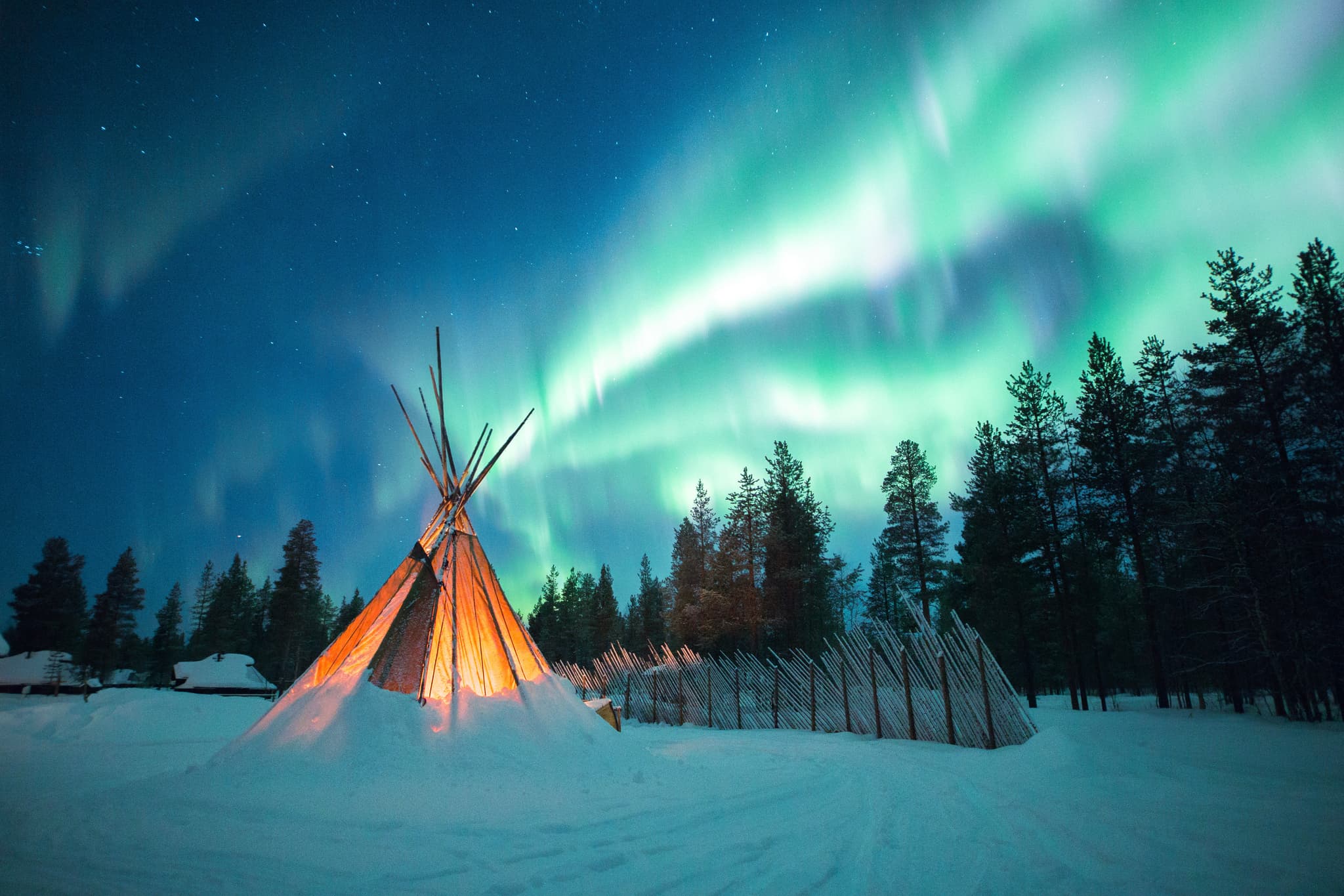 Aurora borealis over a snow-covered tipi camp with conifer trees at night.