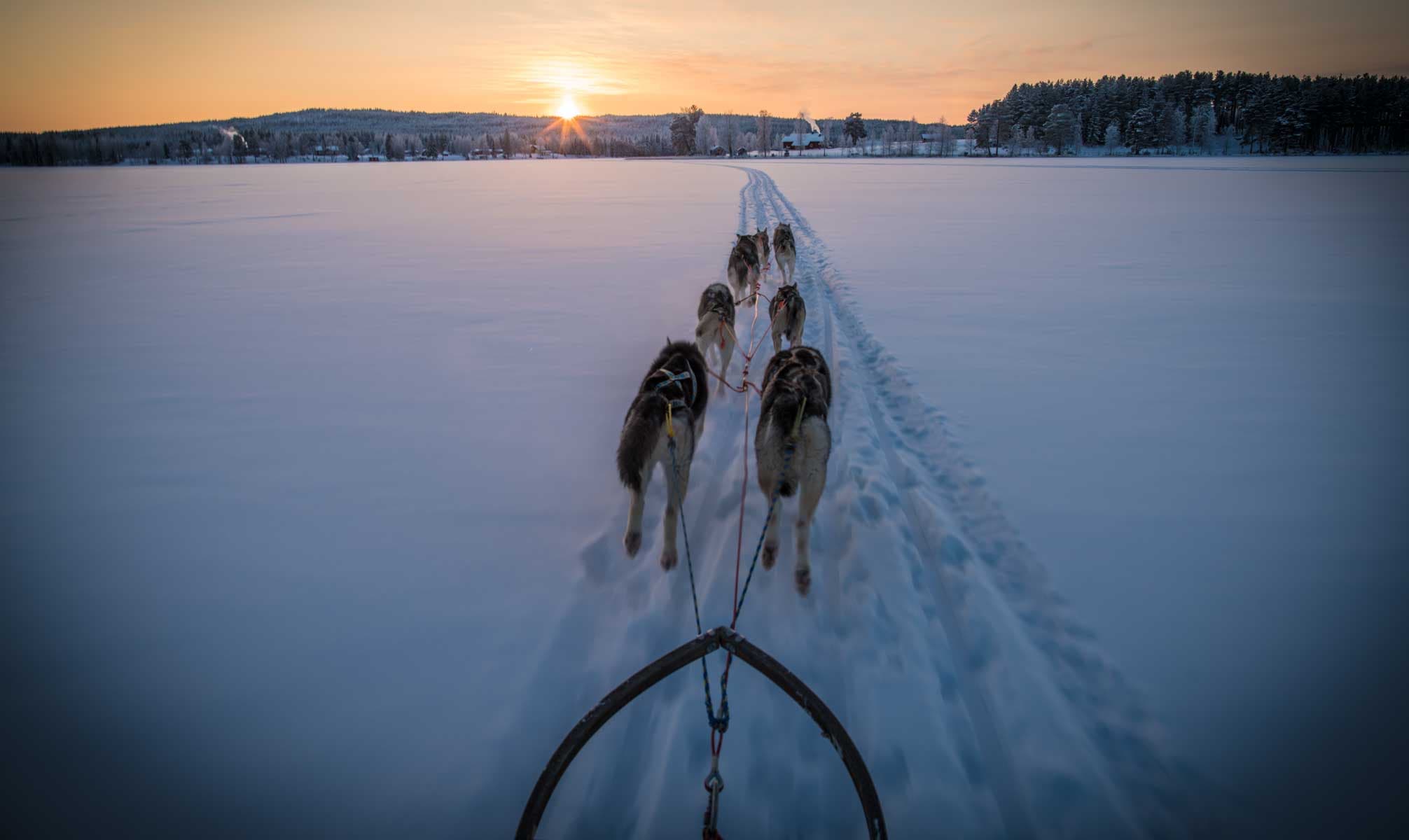Dogsled team running across a snowy frozen lake at sunrise with a trail in the snow and winter forested hills in the distance.