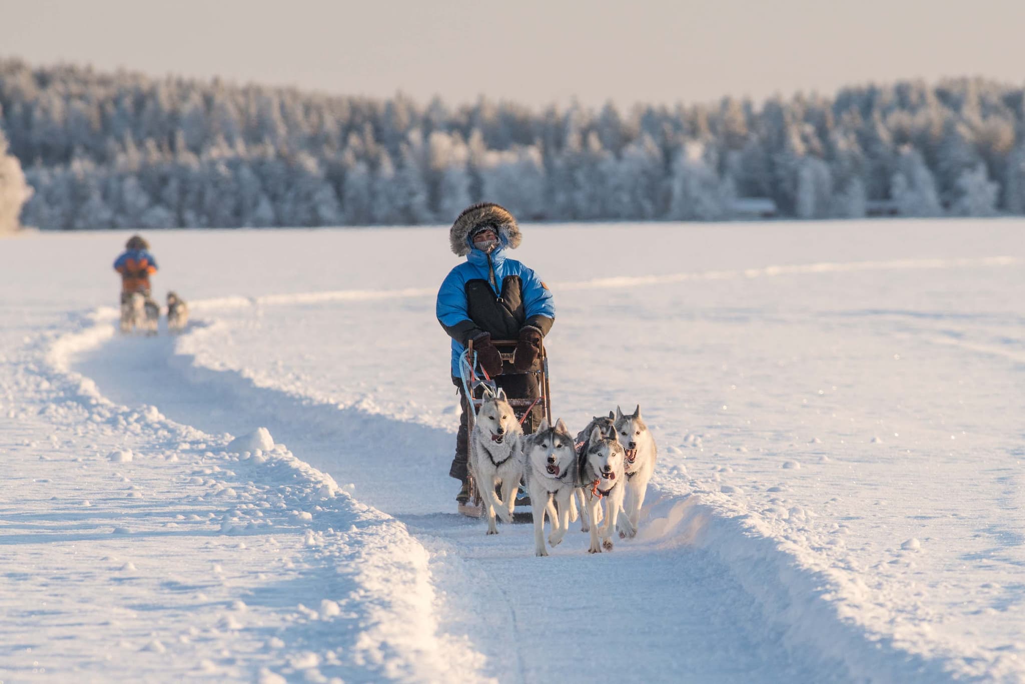 Musher riding a sled with a team of dogs through a snow-covered landscape with a forested hillside in the background.