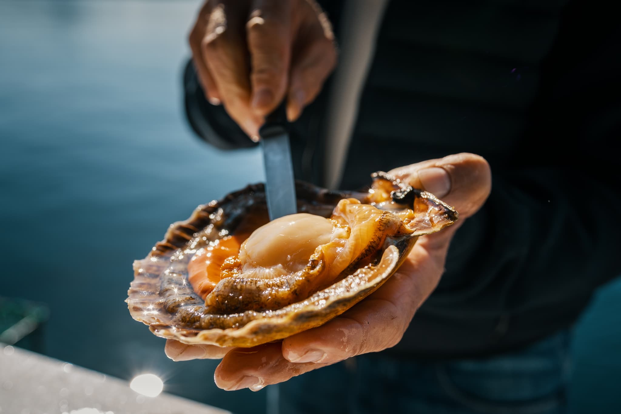 A person holds a freshly opened shellfish shell with a knife poised above the glossy seafood against a blurred blue water background.