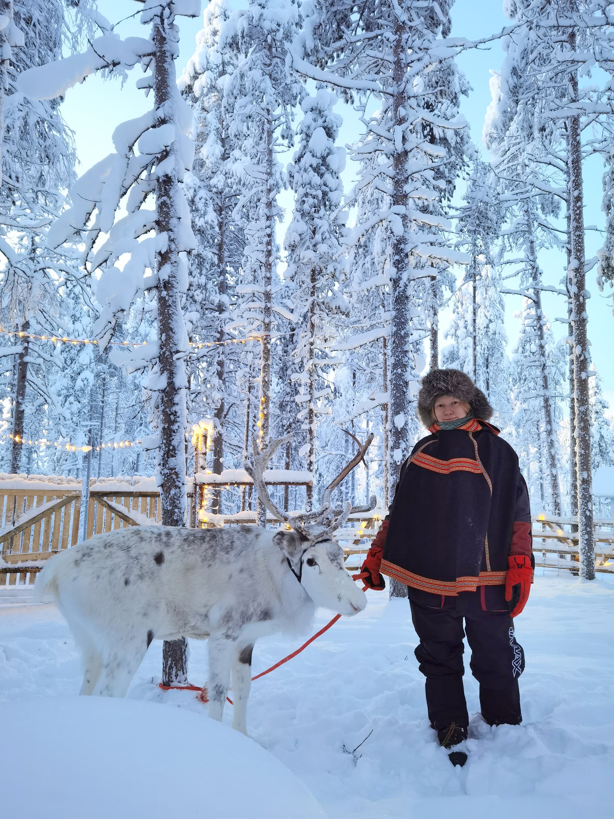 A person in winter clothing stands beside a white reindeer in a snowy forest with frosted trees and warm string lights.