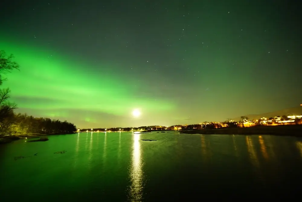Green northern lights glow across a dark night sky above calm water with a line of lights on the distant shore.