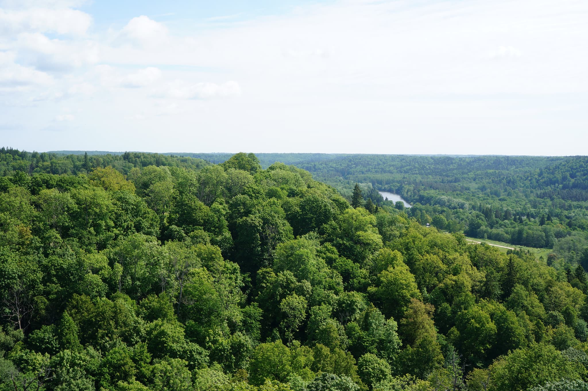 A wide view of dense green forested hills with a river winding through the valley under a bright cloudy sky.