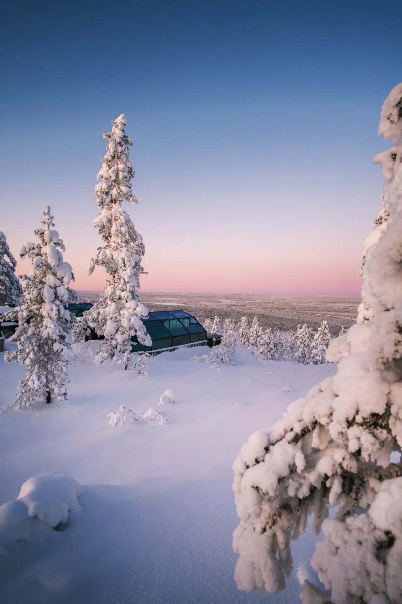 Snow-laden trees overlook a snowy hillside with a glass igloo at sunset beneath a pastel pink and blue sky.