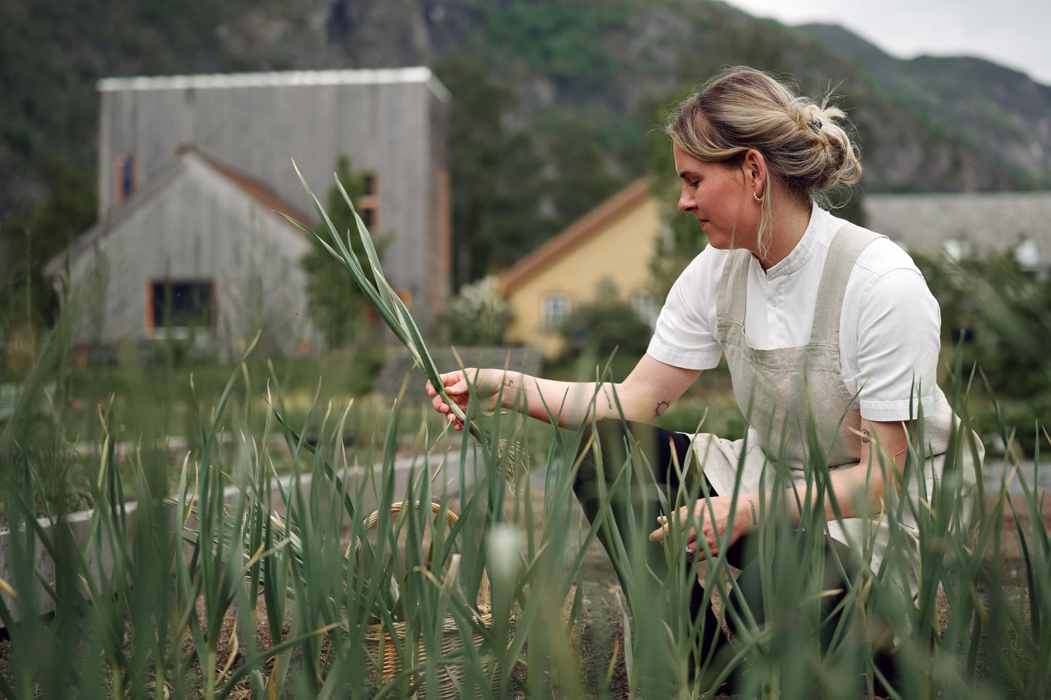 A woman in an apron kneels in a garden and examines a long green plant among tall leaves.