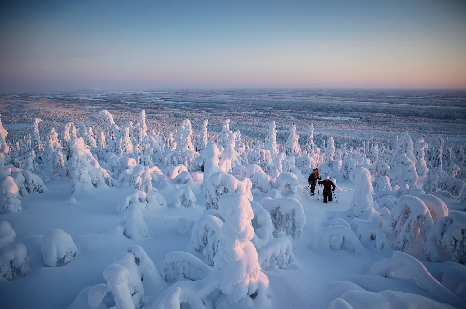 Snowshoe trek across a snow-covered forest ridge at dawn/dusk with a wide panoramic view and softly lit fir-covered slopes
