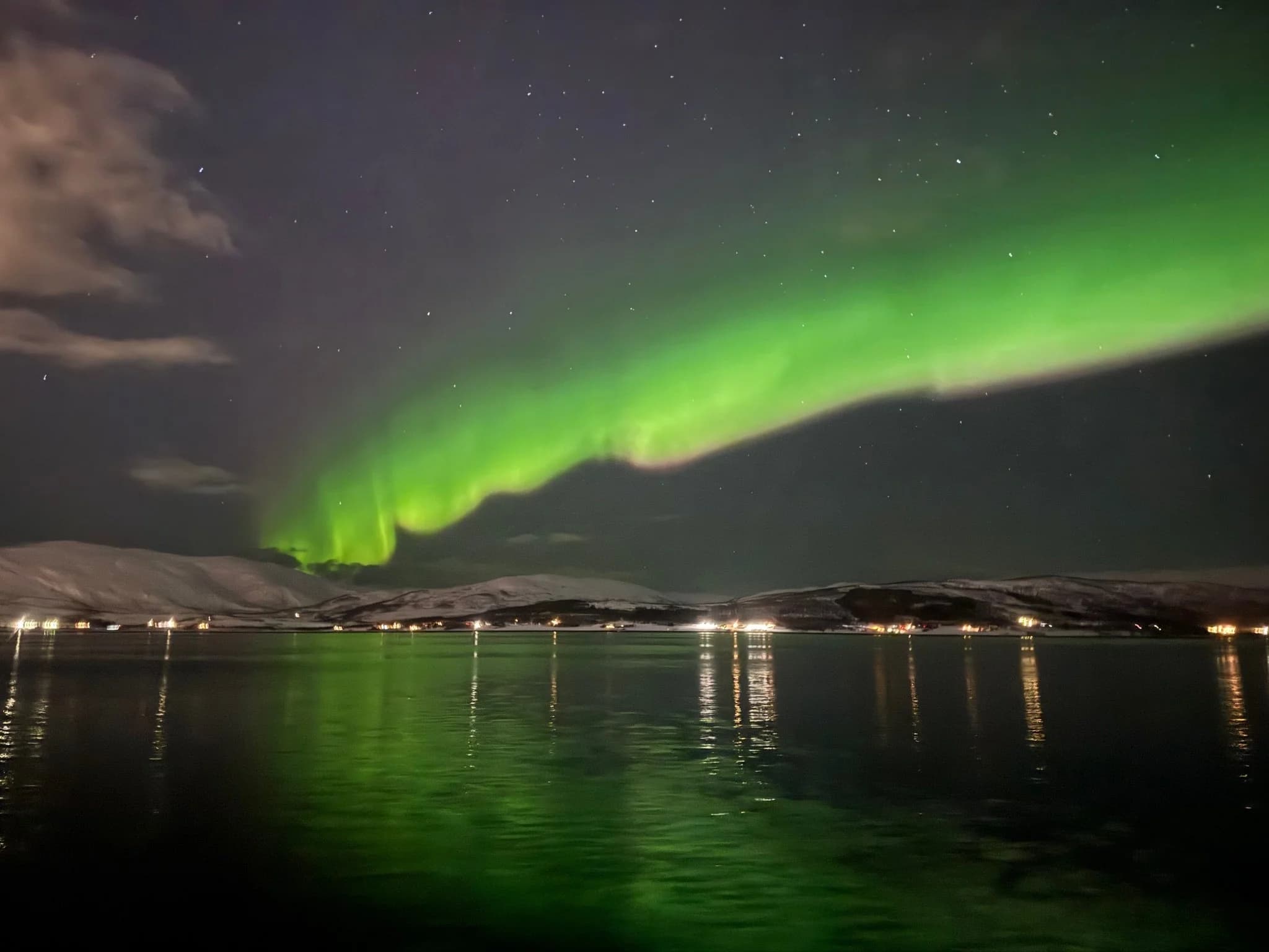 Green aurora lights sweep across a starry night sky above calm water and snowy coastal hills.