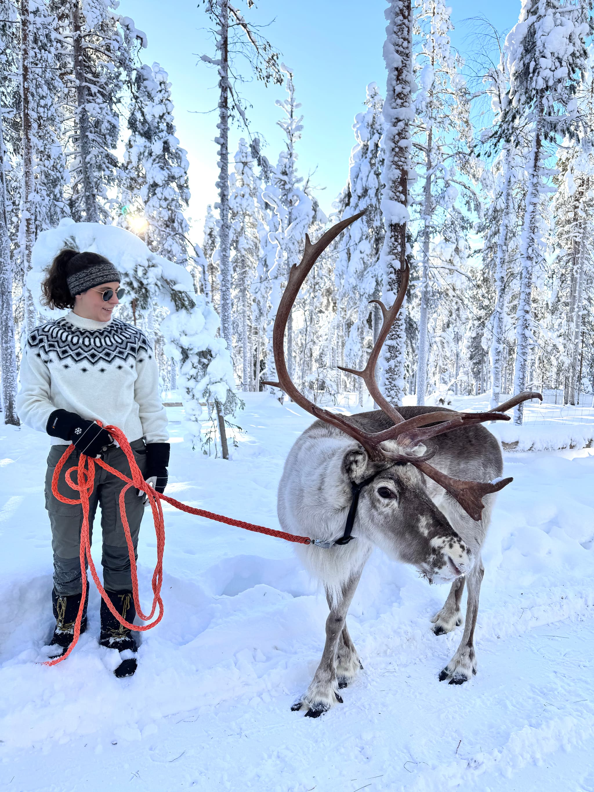 A woman stands in a snowy forest holding a red lead rope beside a reindeer with large antlers.