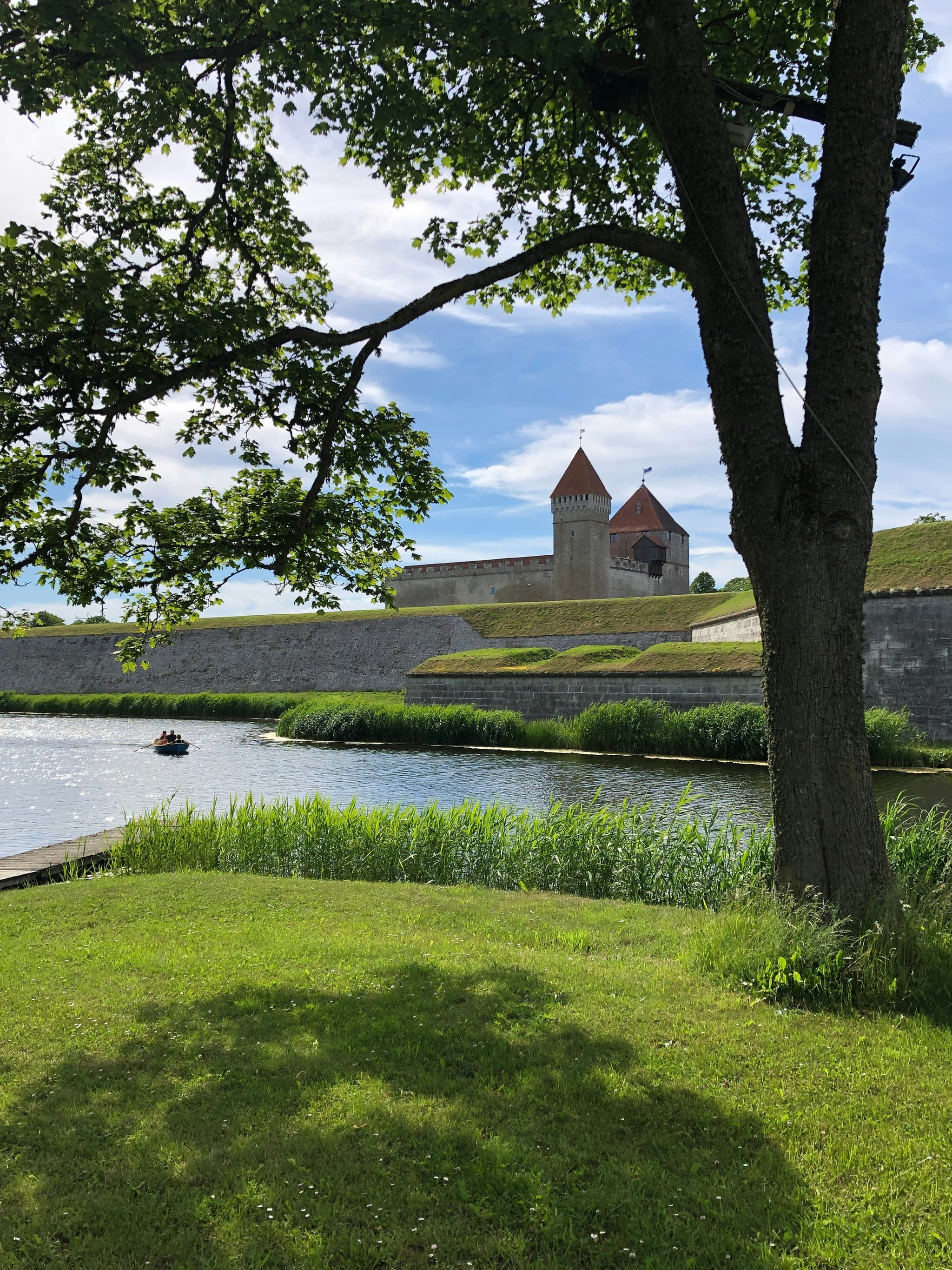 A stone fortress with red-roofed towers rises beyond a grassy riverside bank framed by tree branches, while a small boat moves across the water in the foreground.
