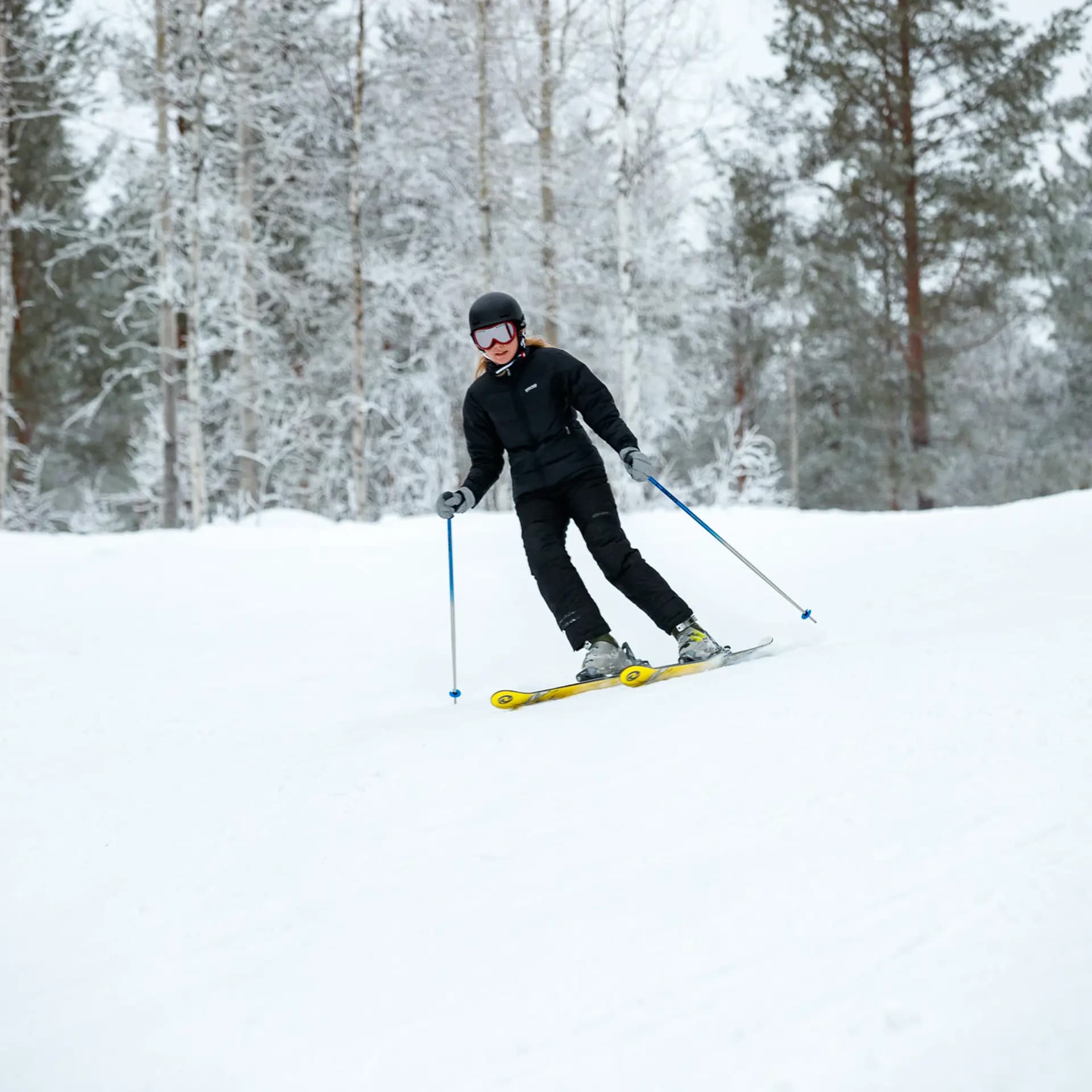 Skier on skis in a snowy forest during winter